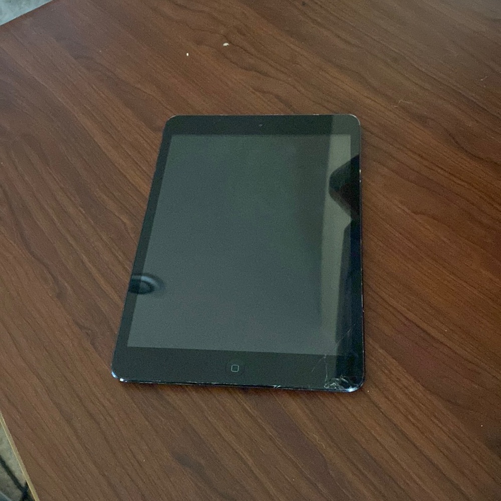 IPad mini, with case